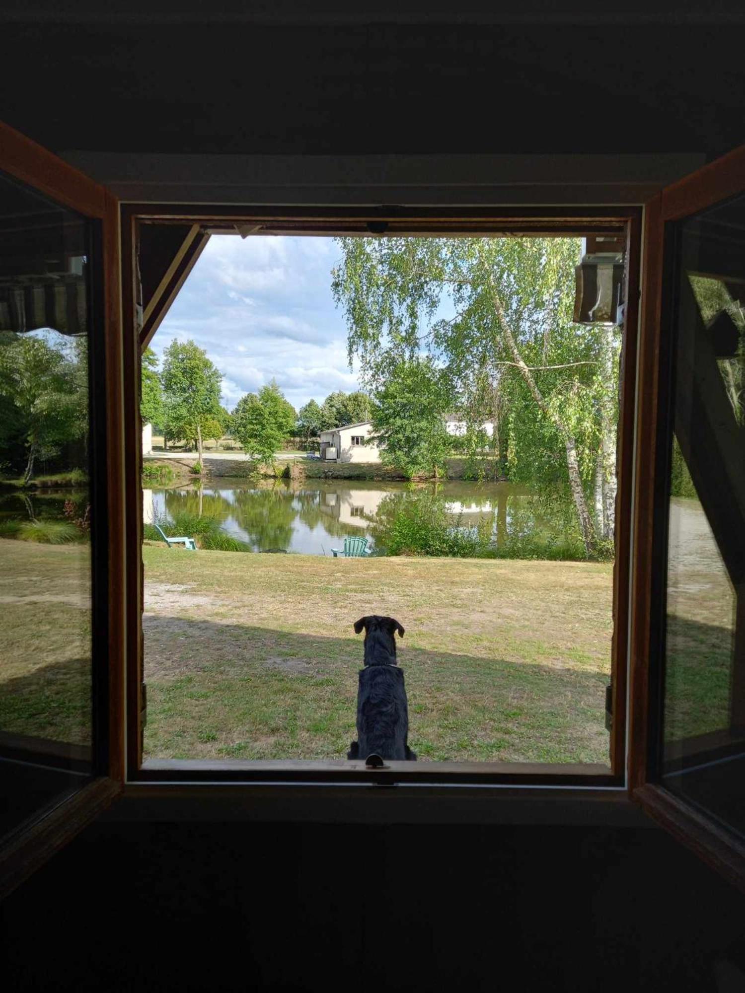 Le Chalet Limousin Folles Экстерьер фото