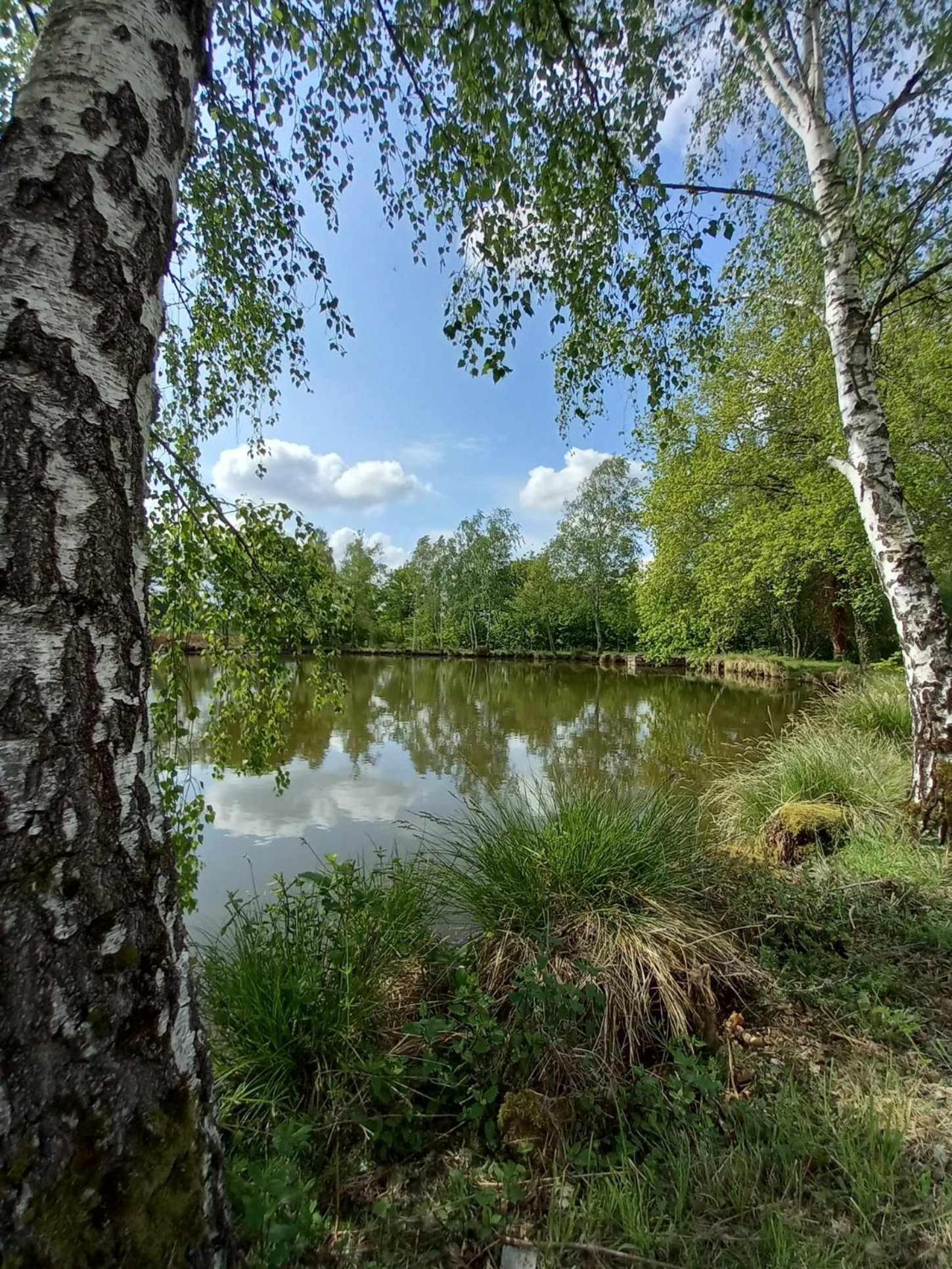Le Chalet Limousin Folles Экстерьер фото